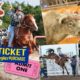 FREE Rodeo de Santa Fe Tickets 2017 When You Buy Wrangler Jeans From Local Retailers!