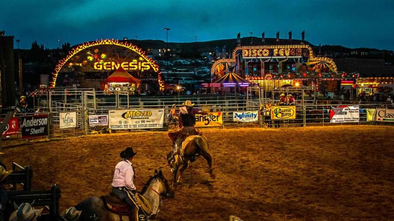 Douglas County Fair And Rodeo 2017 FI 768x432 