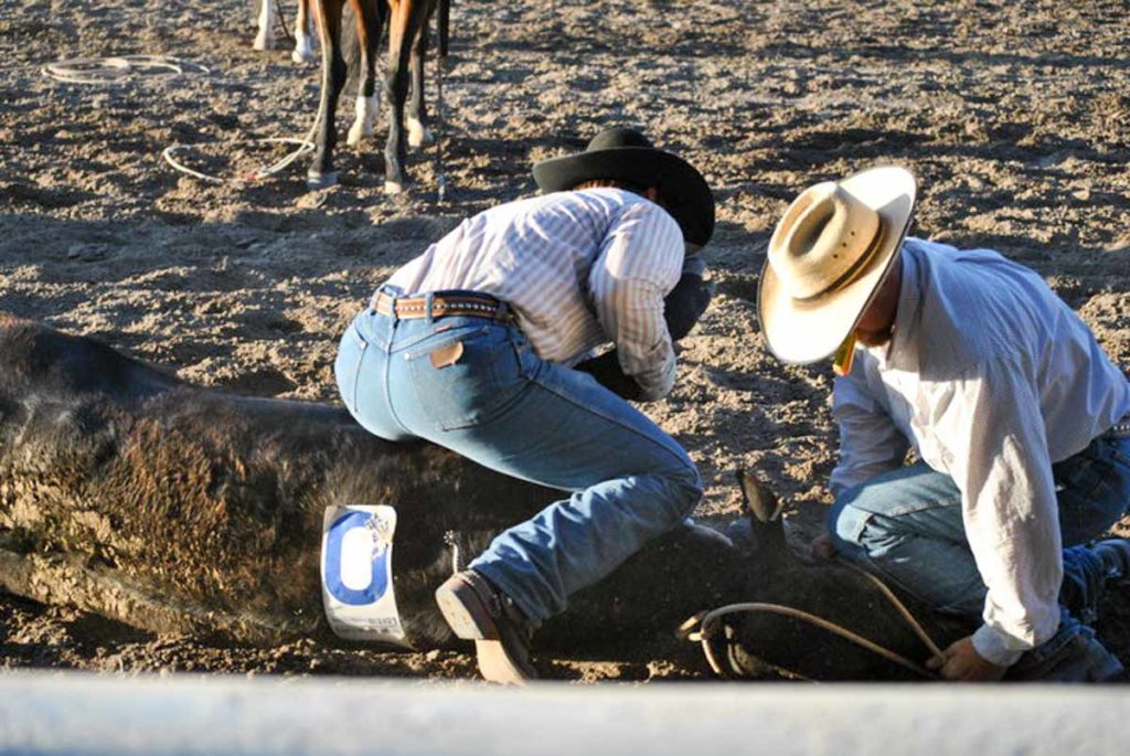 Eastern Idaho State Fair: Blackfoot Ranch Rodeo and Indian Relays 2017