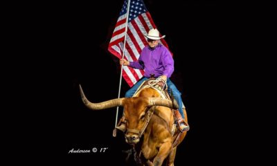 New Mexico State Fair Rodeo 2017