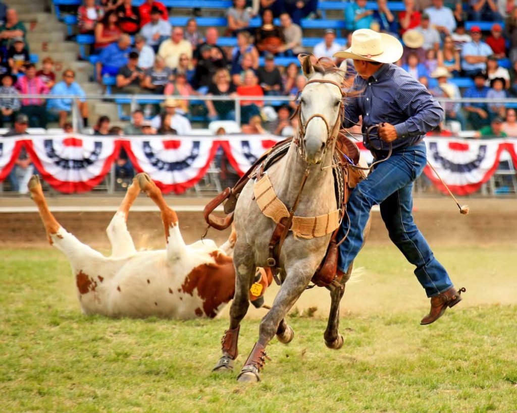 Pendleton Round-Up 2017 Highlights