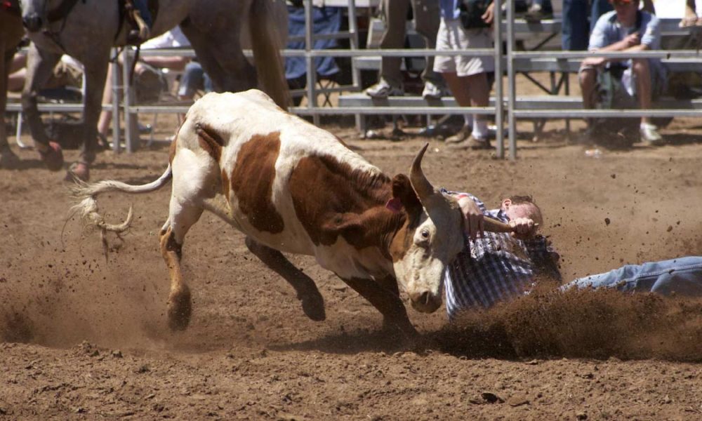 88th Y's Men's Rodeo Minot North Dakota: The Badlands Circuit Finals