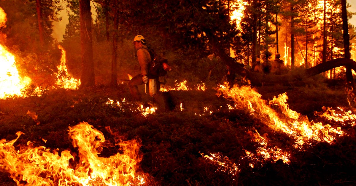 Fire War: 11,000 Firefighters Battle 18 Large Wildfires In California In October