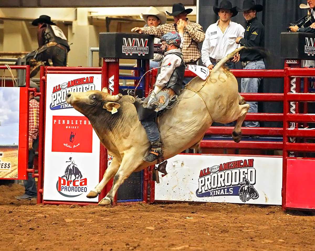 Heart O'Texas Fair and Rodeo: Waco All American Pro Rodeo Finals 2017