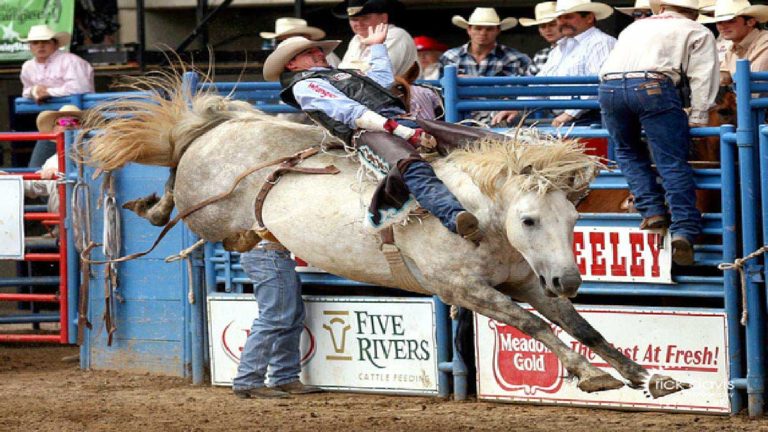 Heart O'Texas Fair and Rodeo: Waco All American Pro Rodeo Finals 2017