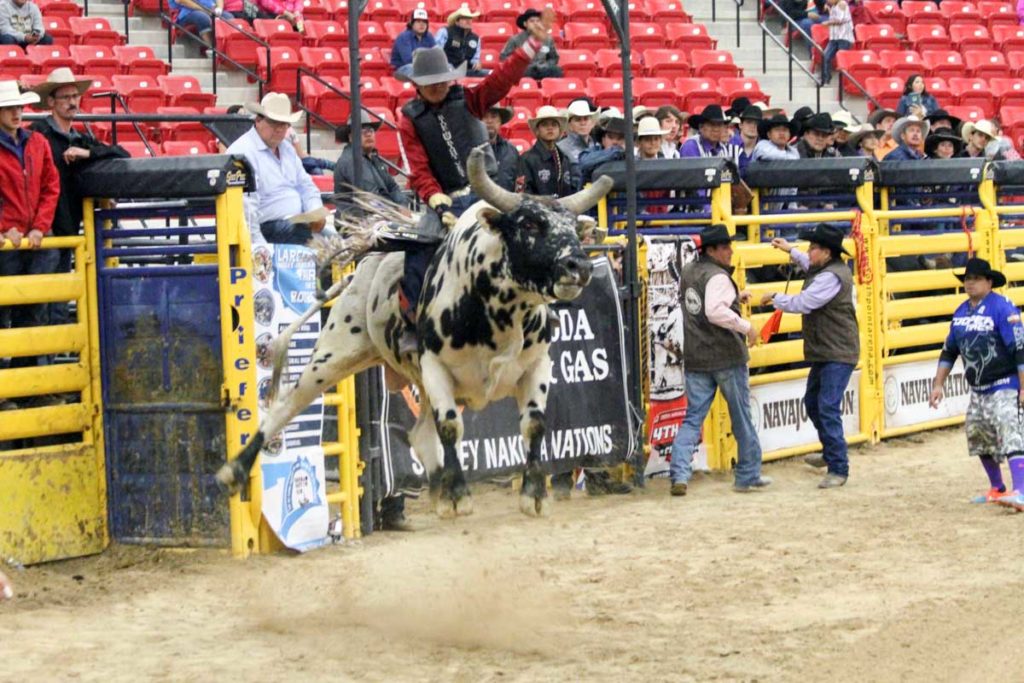 Indian National Finals Rodeo (INFR) 2017