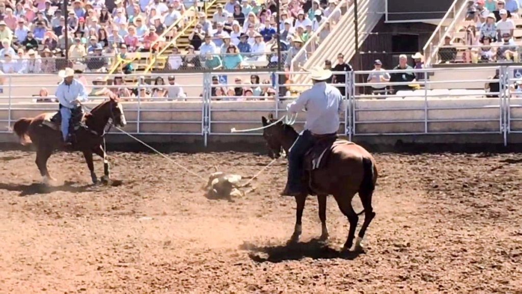 Tulsa State Fair PRCA Rodeo