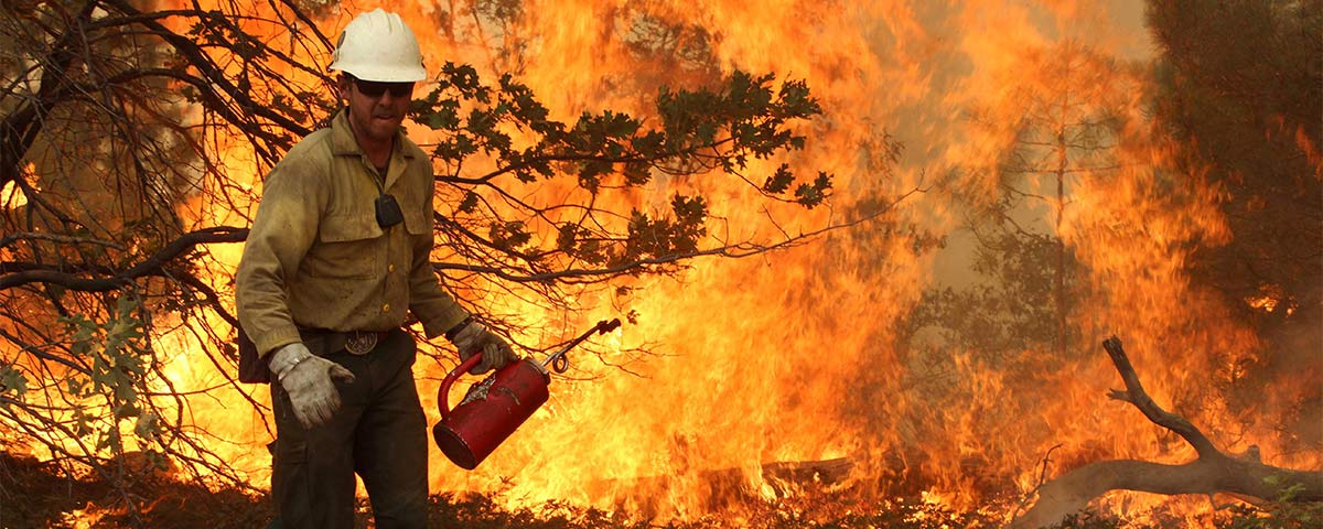 Fire War 2017: 11,000 Firefighters Battle 18 Large California Wildfires In October