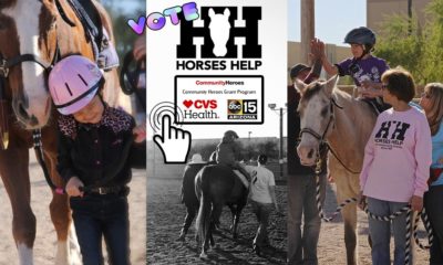 Vote Horses Help!