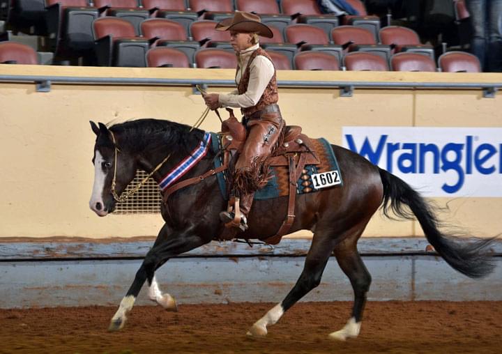 Lucas Oil AQHA World Championship in Oklahoma City 2017 (The American Quarter Horse Journal)