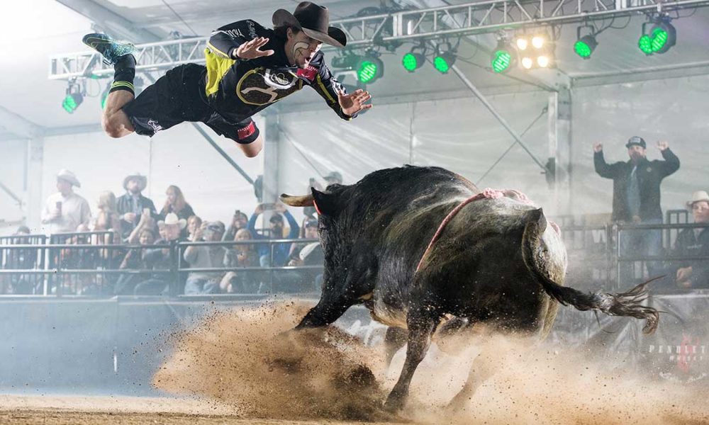 BULLFIGHTERS ONLY (BFO) (@bullfightersonly) • Instagram photos and videos
