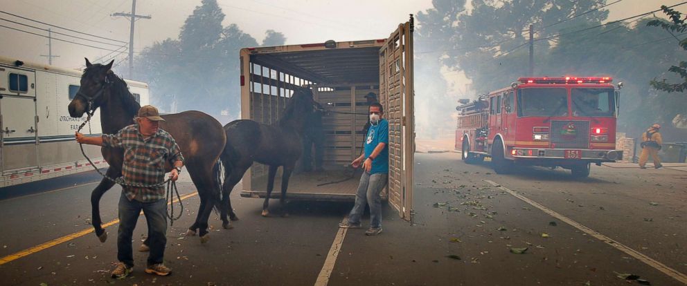 Southern California Fires: Help Wildland Firefighters & Fellow Americans