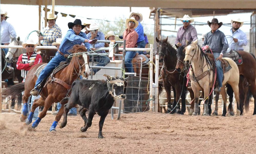 Casa Grande Cowboy Days and O’Odham Tash Rodeo 2018