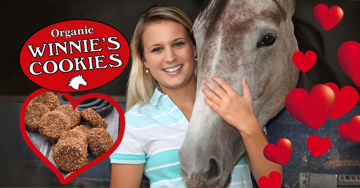 Healthy Horse Treats From Winnie's Cookies are a CLN Pick!