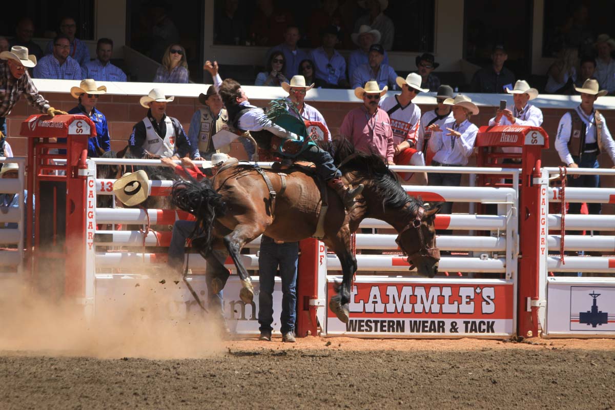 Bronc Riding at the 2018 Calgary Stampede