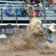 Landscape scenes, rodeo action inspire local photographer’s images