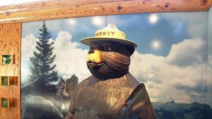 Smokey Bear still campaigns for fire safety