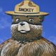 Smokey Bear still campaigns for fire safety