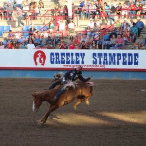 Greeley Stampede Rodeo Seating Chart