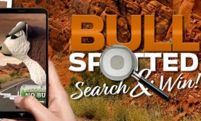 #BULLSPOTTED: Locate Earnhardt’s “Bull Trailer” and win cool stuff!