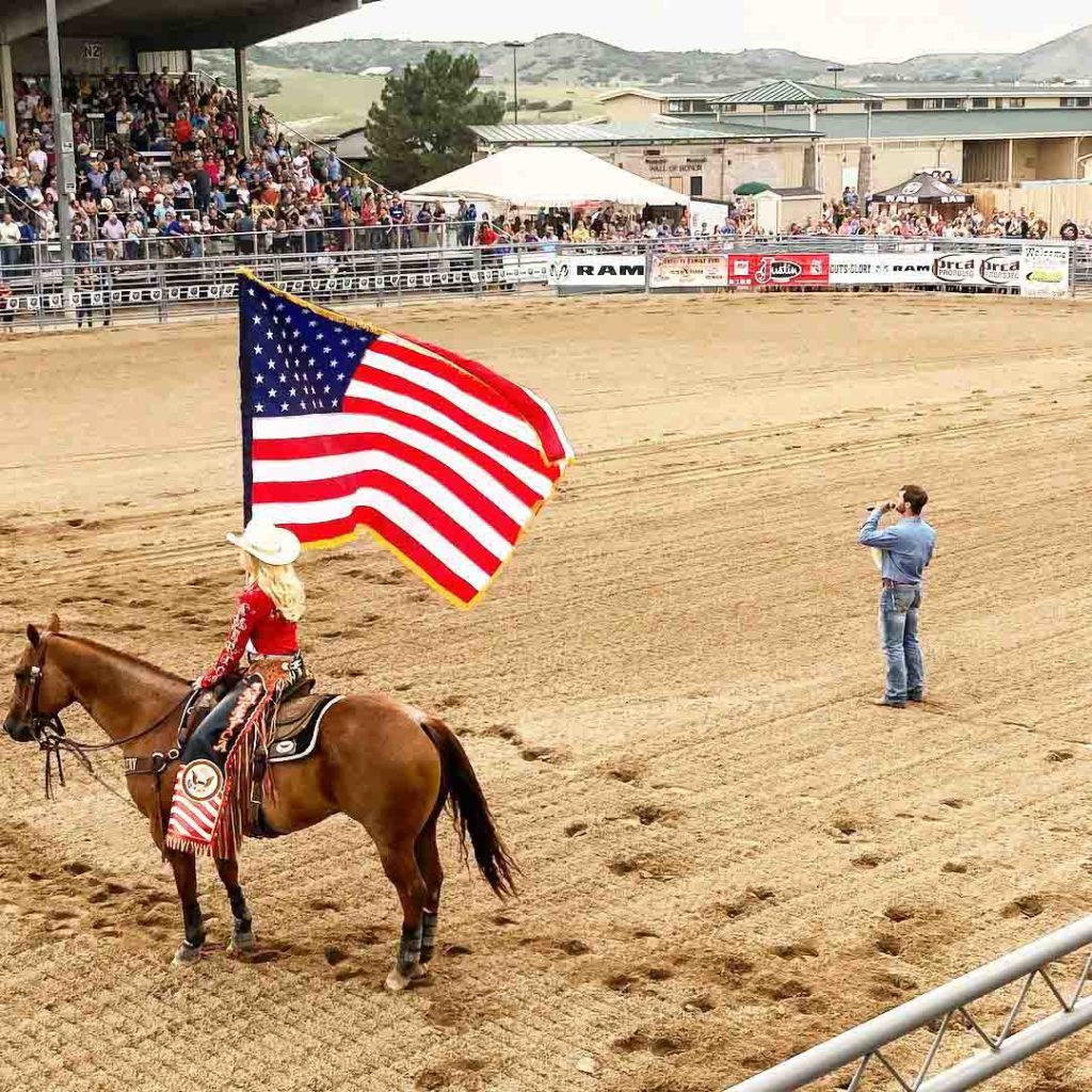 Douglas County Fair and Rodeo 2018