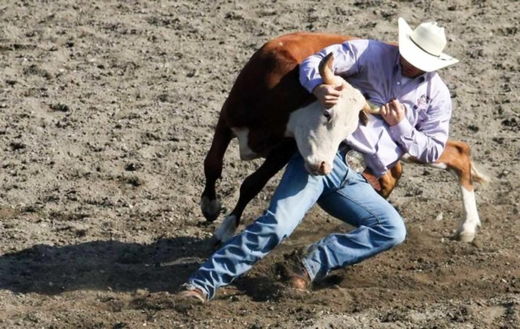 Kitsap County Fair and Stampede 2019 Steer Wrestling