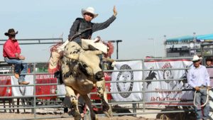 Ak-Chin Indian Community Masik Tas Rodeo to thrill fans, competitors