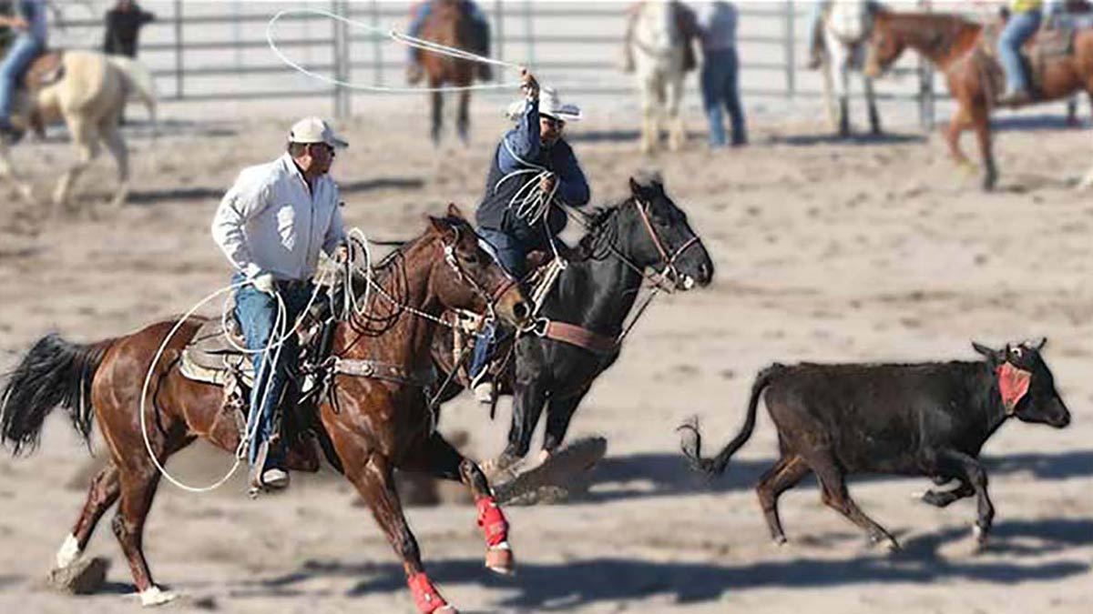Ak-Chin Indian Community Masik Tas Rodeo to thrill fans, competitors