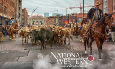 National Western Stock Show Rodeo