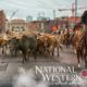 National Western Stock Show Rodeo