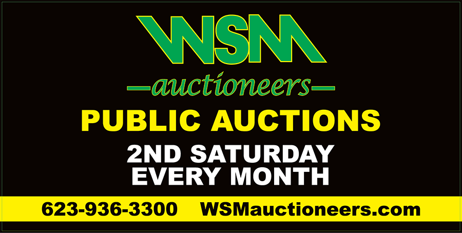 WSM Auctioneers