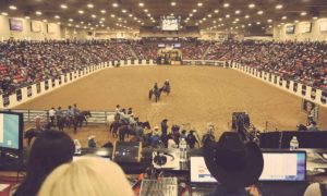 Top 10 Things to do at NFR 2022! - Cowboy Lifestyle Network