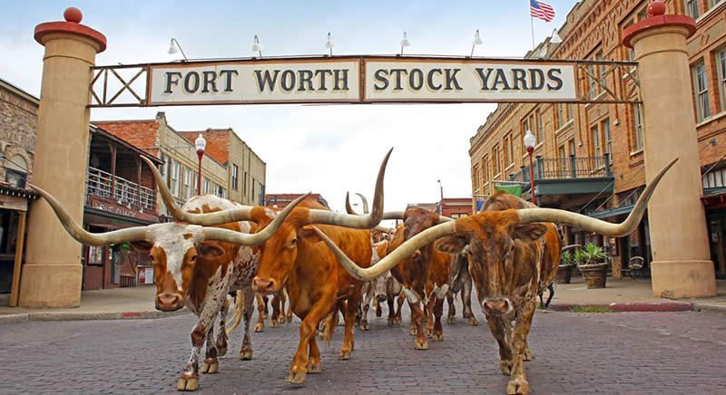 Fort Worth Stock Show and Rodeo FWSSR 2019