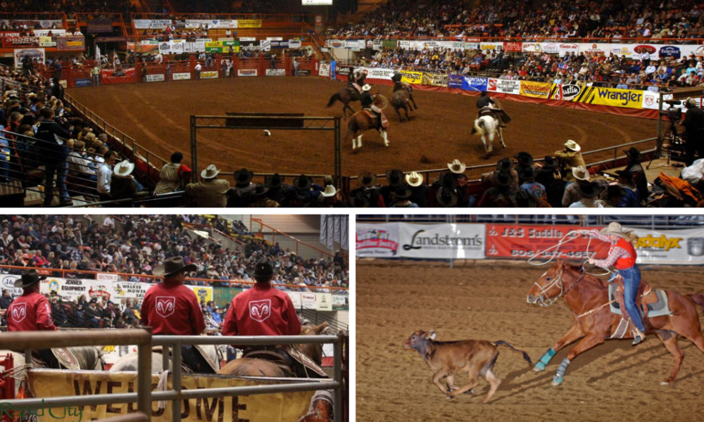 Black Hills Stock Show and Rodeo® 2019 Cowboy Lifestyle Network