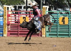 Red Bluff Jr Round-Up Bull Riding 2019