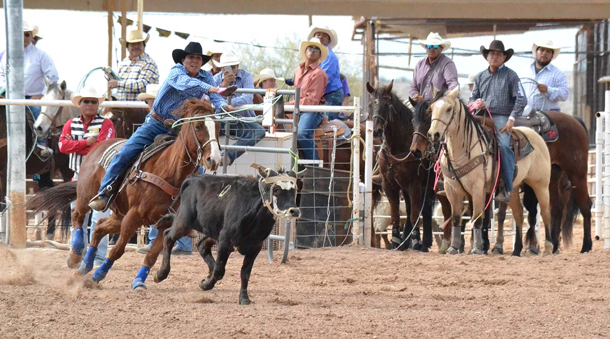 Casa Grande Cowboy Days and O’odham Tash Rodeo 2019 - Cowboy Lifestyle ...