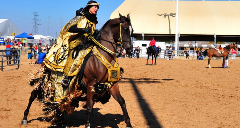 Scottsdale Arabian Horse Show 2019 - Cowboy Lifestyle Network