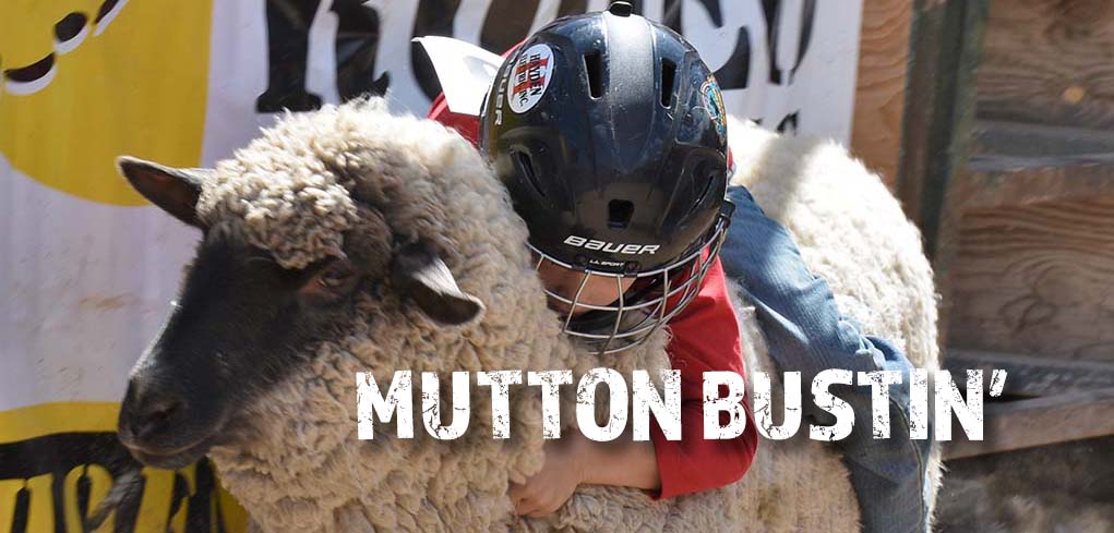 Mutton Bustin at Cave Creek Rodeo Days