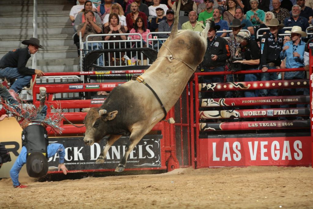 Top 5 Bulls In Bucking Bull History Cowboy Lifestyle Network