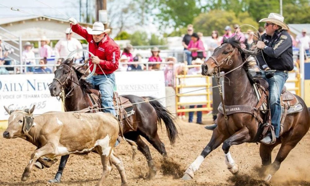 PRCA World Champion Bareback Rider Iowa Cowboy Tim O’Connell’s Dream