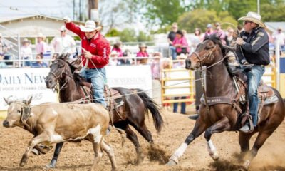 Red Bluff Round-Up 2019