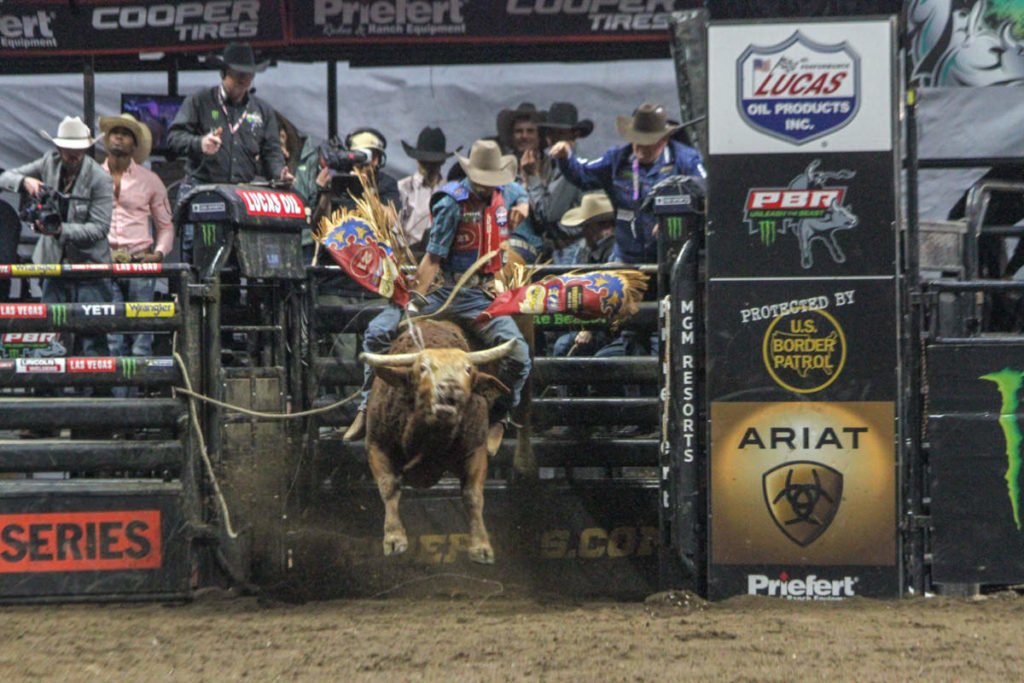 What is the Professional Bull Riders PBR?
