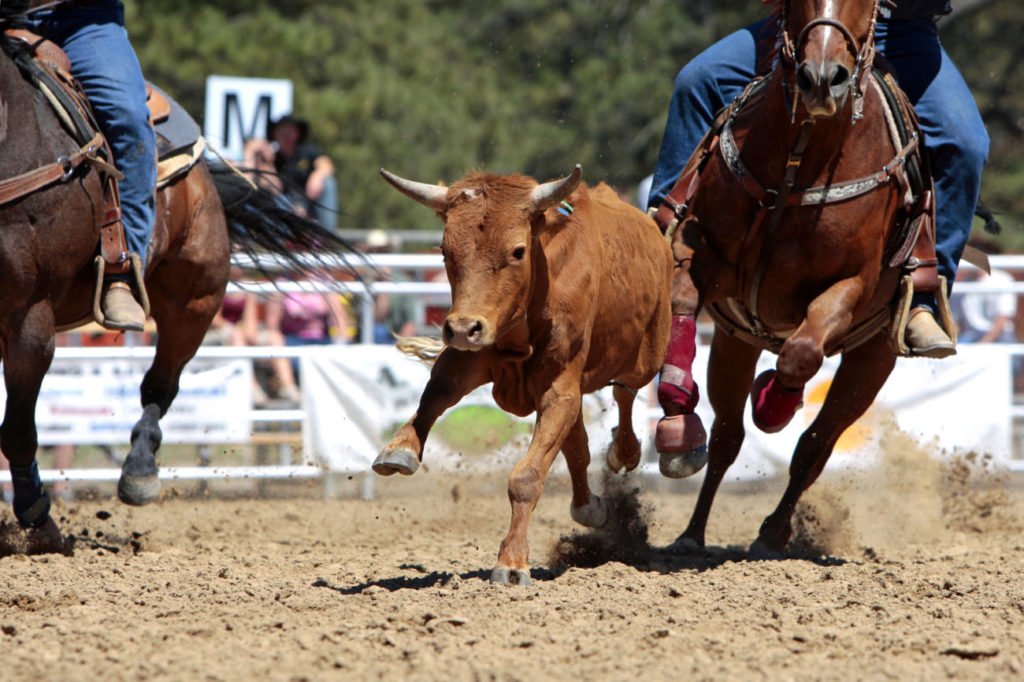 Grubstake Days Rodeo 2019