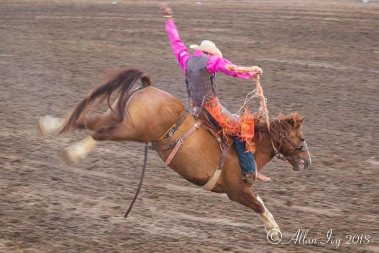 Pink Pro Rodeo What it Takes to be the #1 Tough Enough to Wear Pink Rodeo in the US ...