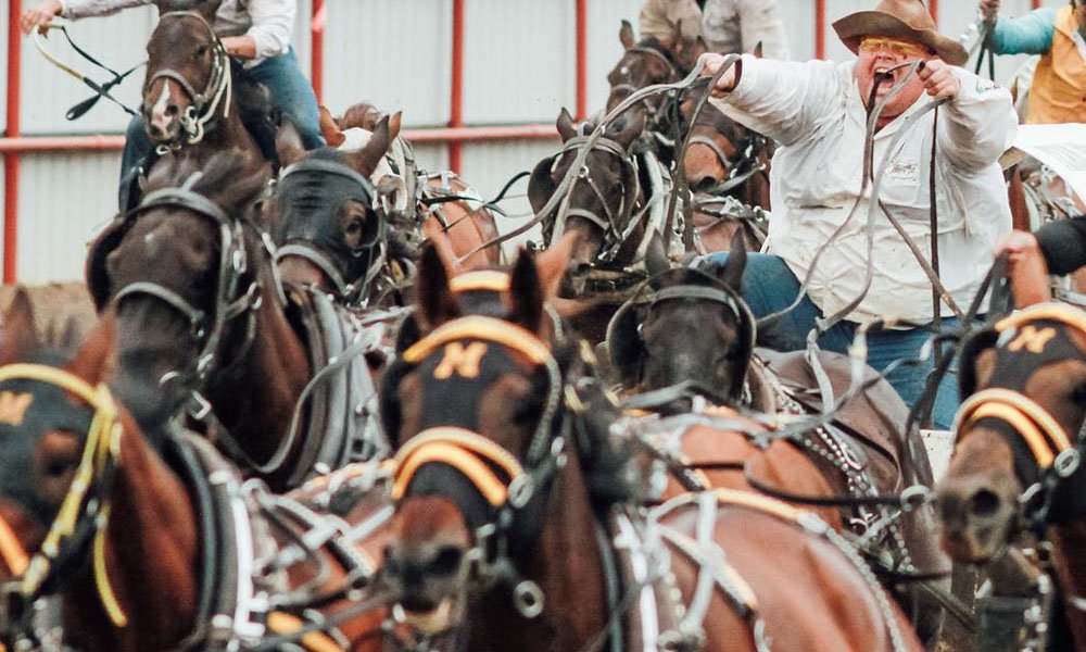 Ponoka Stampede