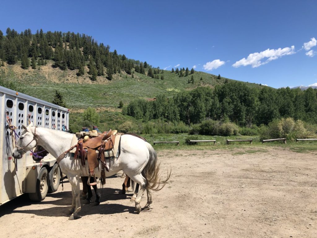 There's Magic in These Mountains: Cattlemen's Days 2019 - Cowboy ...