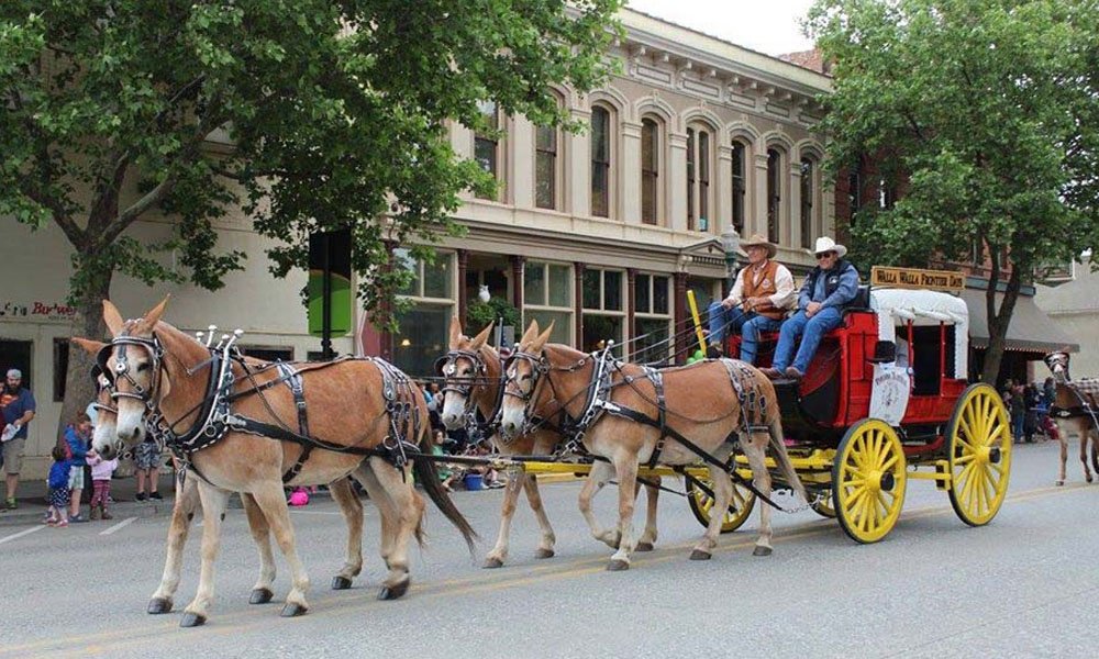 Walla Walla Frontier Days 2019 Cowboy Lifestyle Network