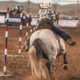 Spokane County Interstate Fair-Rodeo-2019