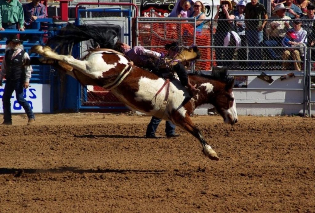 Spokane Interstate Fair and PRCA Rodeo 2019 Cowboy Lifestyle Network