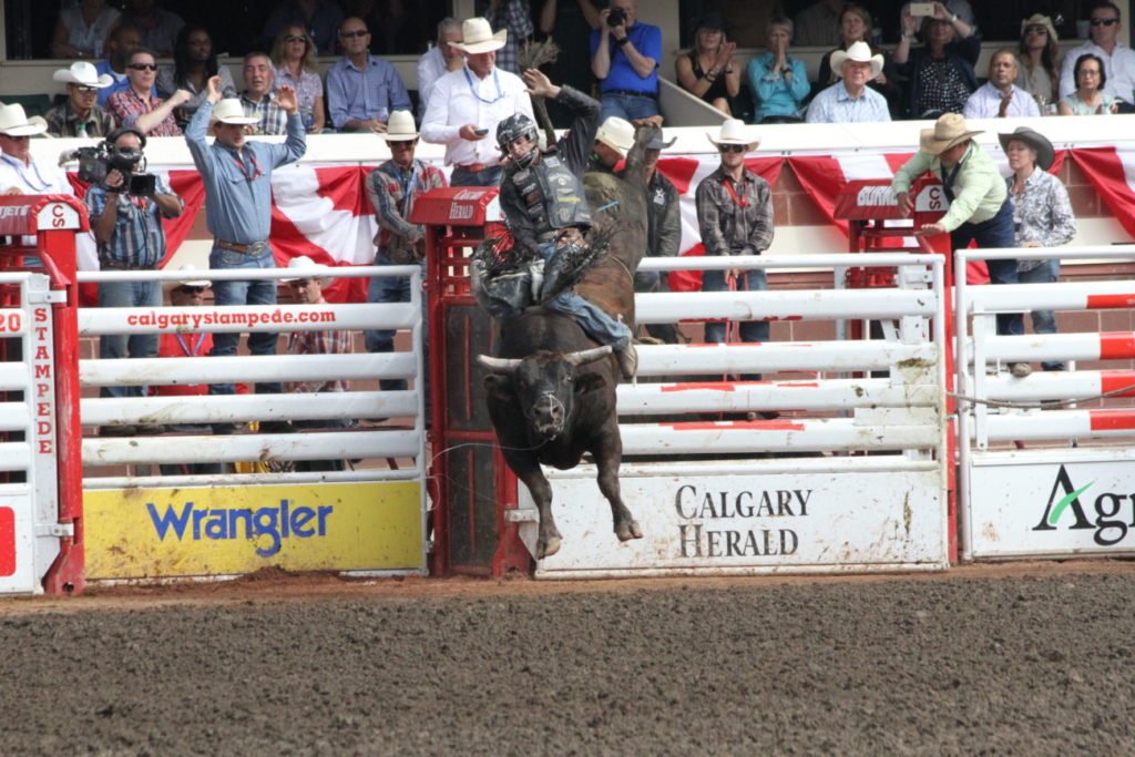 Calgary Stampede CLN 2015 (Day 2) (1076) (1)